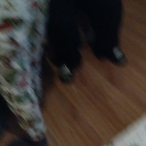 Meet your Posher, Jay